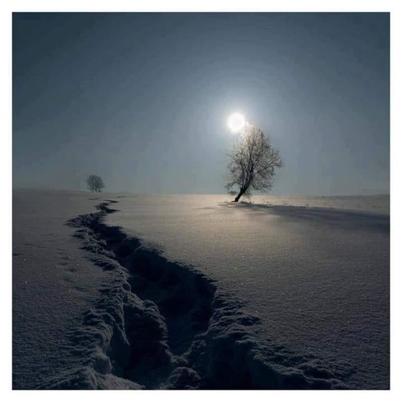 Meet your Posher, Myrnalucero - Picture 1 of 1